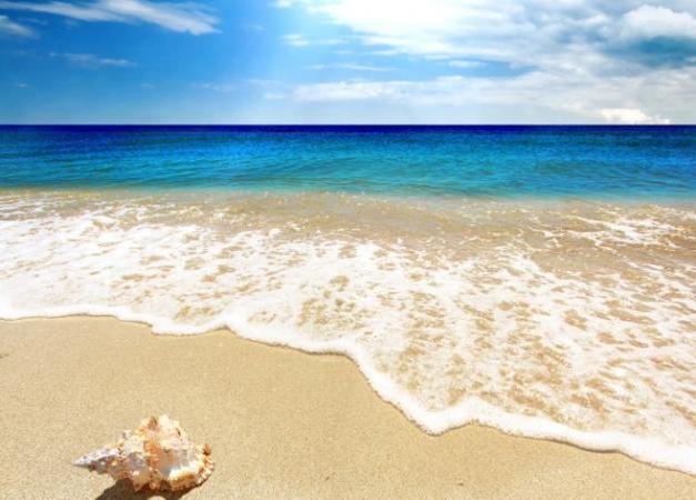 Μαζέψτε κοχύλια... και άλλα summer sexy tips